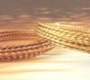 twistedwire200.jpg